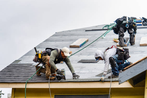 Professional Roofing technician working in Springville, IA